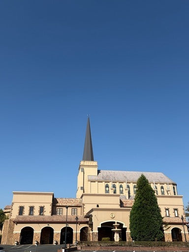 マルシェの出店者募集🈁 (八代市,熊本県)