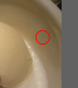 ポスター印刷のデータを作成する時、写真を綺麗に格好良く見せるには？