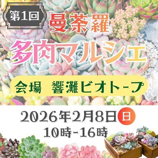 令和8年2月8日㊐【第1回】曼荼羅多肉マルシェin響灘ビオトープ (北九州市,福岡県)