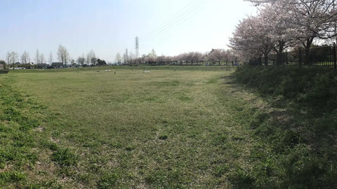 エシカルフェスタ 石川河川公園