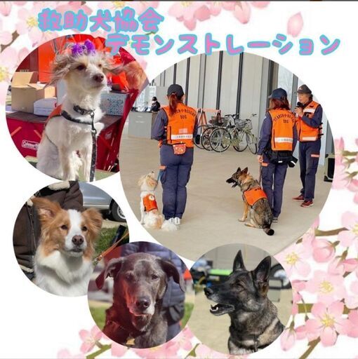 【出店者募集！！】みなつなﾌｪｽﾀVol7 (柏市,千葉県)