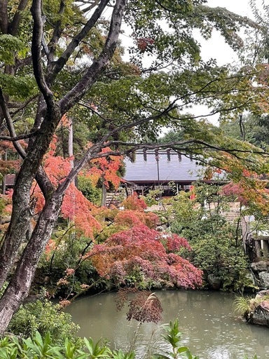 【出店者募集】廣田神社敷地内⛩️広田山荘ஐみこにこマルシェஐ (西宮市,兵庫県)