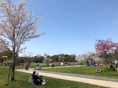 ロハスパーク福岡@舞鶴公園