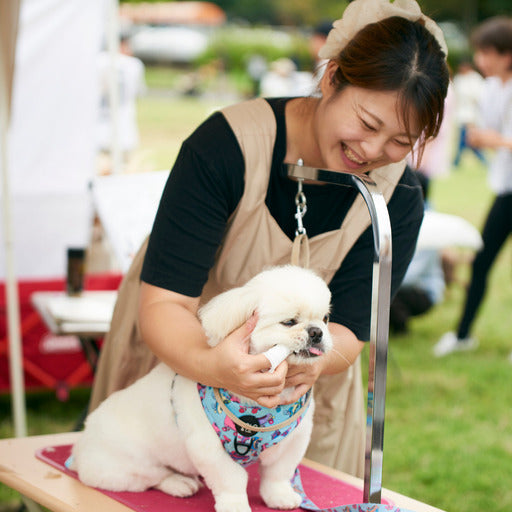 2026年1月17日（土）18日（日）関西初開催！「犬の祈願祭」出店者募集中 (大東市,大阪府)