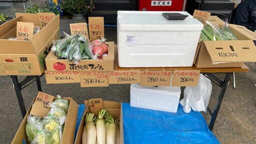 【フリマ】2026年1/11(日)に日南でフリマを開催します！【出店者歓迎！】 (日南市,宮崎県)