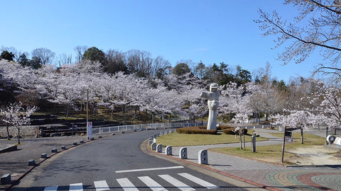 るらるマーケット 奈良生駒山麓公園