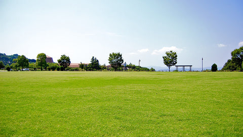 るらるマーケット のかみふれあい公園