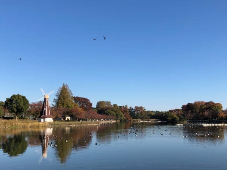 フリーマーケットin浮間公園