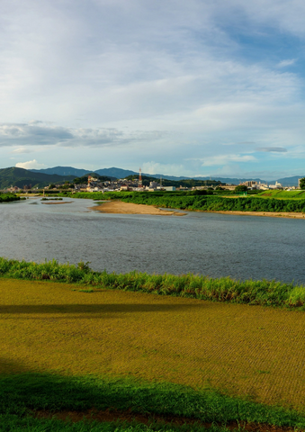 エシカルフェスタ 柏原市役所前河川敷