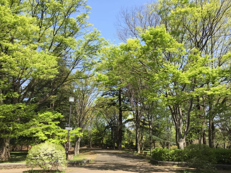 フリーマーケットin府中の森公園