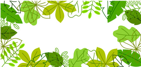 花さんぽマルシェ