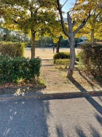 蚤の市フリーマーケット 東雲公園多目的グラウンド