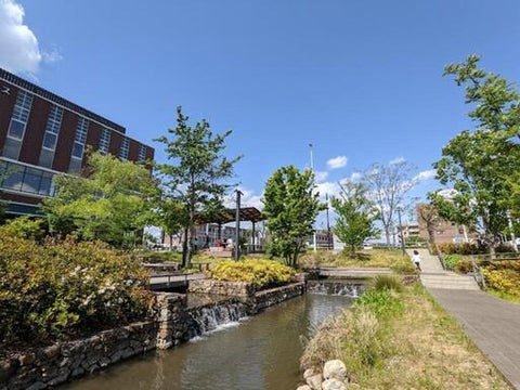 多治見駅前マルシェ