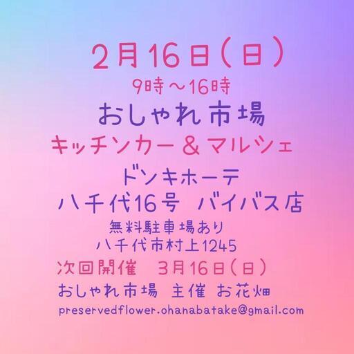 おしゃれ市場 in ドンキホーテ八千代16号バイパス店