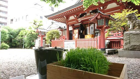 秋葉さまの田心マルシェ＠秋葉神社