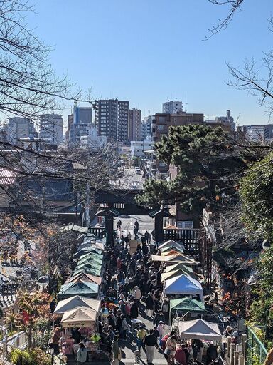 池上日和
