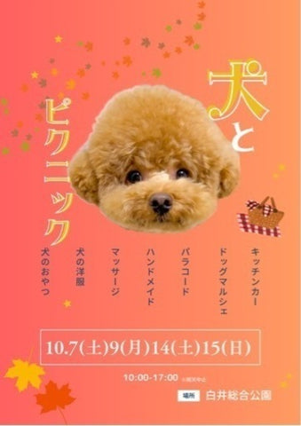 THE DOG FES