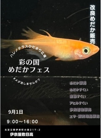 彩の国めだかフェスinハレノテラス
