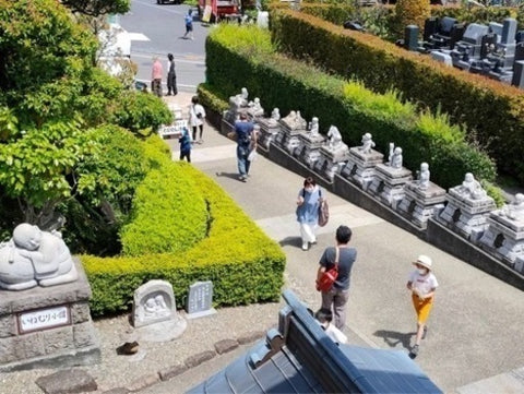 寺フェス2022秋の陣