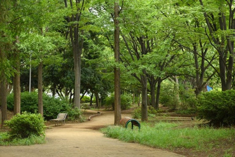 等々力緑地公園フリーマーケット